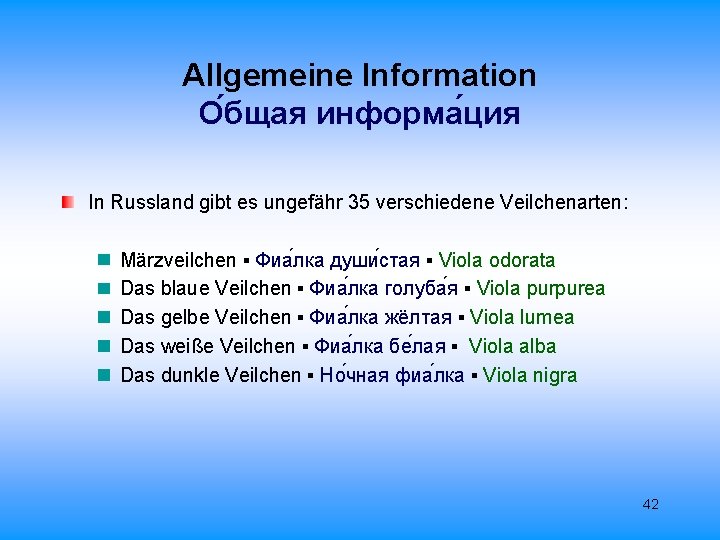 Allgemeine Information О бщая информа ция In Russland gibt es ungefähr 35 verschiedene Veilchenarten: