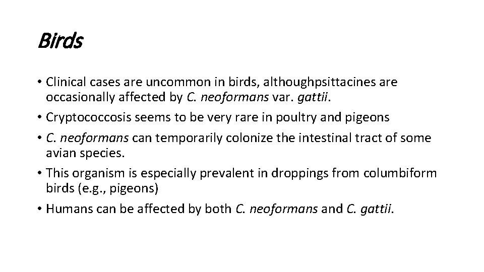 Birds • Clinical cases are uncommon in birds, althoughpsittacines are occasionally affected by C.