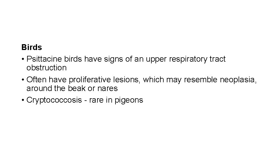 Birds • Psittacine birds have signs of an upper respiratory tract obstruction • Often