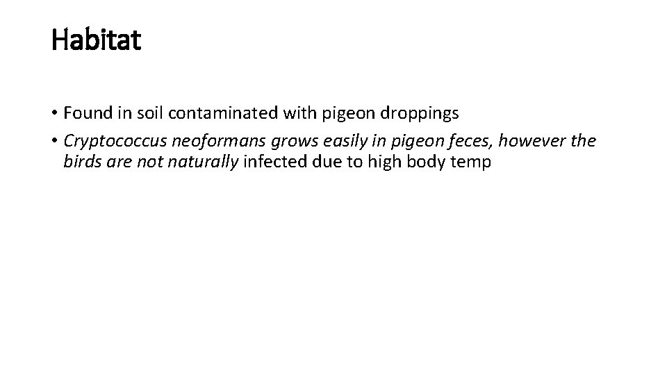 Habitat • Found in soil contaminated with pigeon droppings • Cryptococcus neoformans grows easily