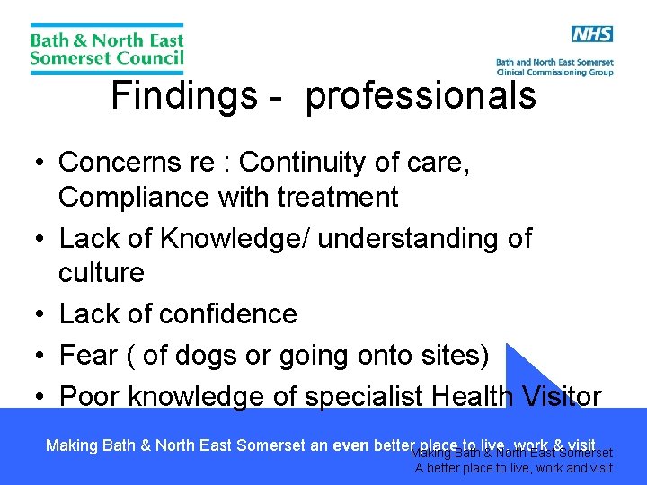 Findings - professionals • Concerns re : Continuity of care, Compliance with treatment •