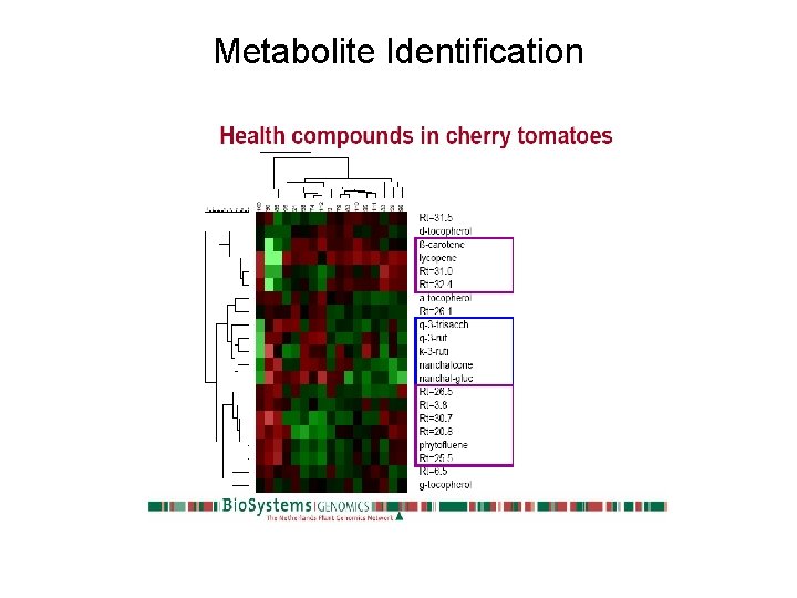 Metabolite Identification 