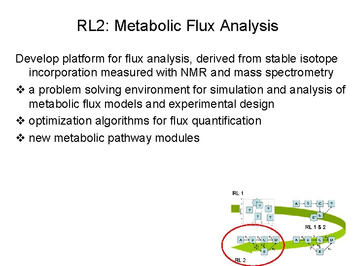 RL 2: Metabolic Flux Analysis Develop platform for flux analysis, derived from stable isotope