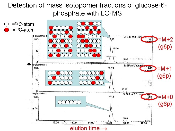 Detection of mass isotopomer fractions of glucose-6 phosphate with LC-MS =12 C-atom =13 C-atom