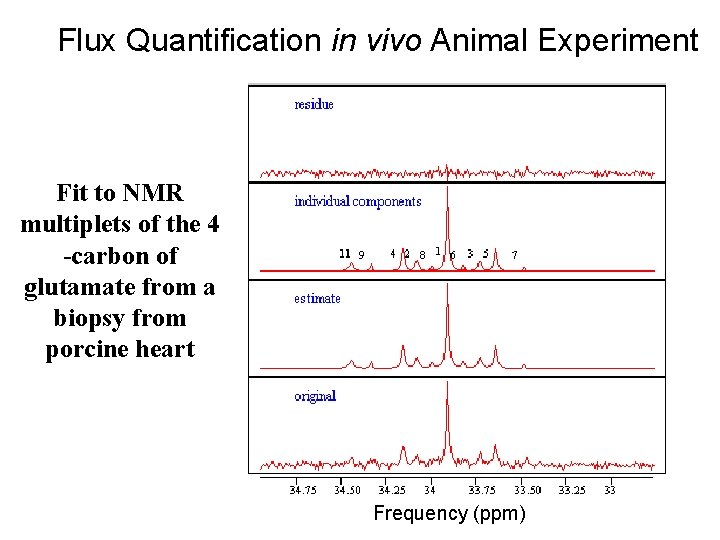 Flux Quantification in vivo Animal Experiment Fit to NMR multiplets of the 4 -carbon