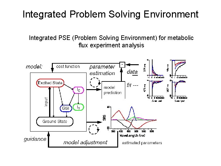 Integrated Problem Solving Environment Integrated PSE (Problem Solving Environment) for metabolic flux experiment analysis