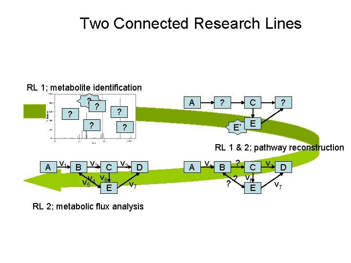 Two Connected Research Lines RL 1; metabolite identification ? ? ? ? A ?