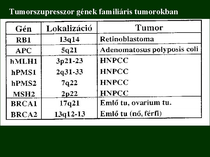 Tumorszupresszor gének familiáris tumorokban 