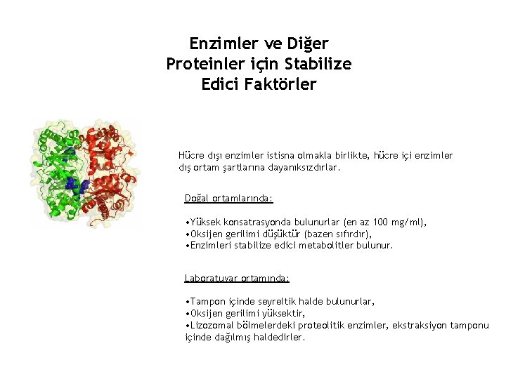 Enzimler ve Diğer Proteinler için Stabilize Edici Faktörler Hücre dışı enzimler istisna olmakla birlikte,