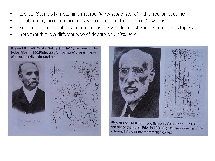  • • Italy vs. Spain: silver staining method (la reazione negra) + the