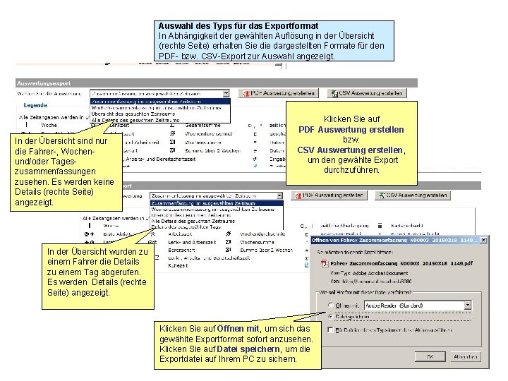 Auswahl des Typs für das Exportformat In Abhängigkeit der gewählten Auflösung in der Übersicht