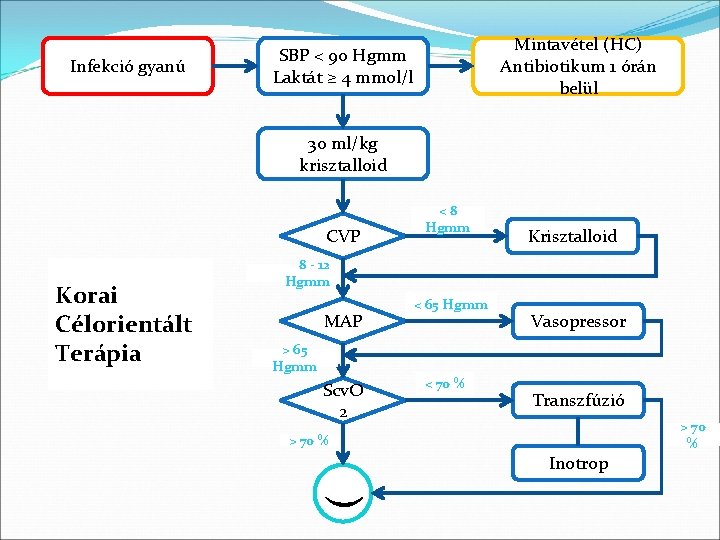 Infekció gyanú Mintavétel (HC) Antibiotikum 1 órán belül SBP < 90 Hgmm Laktát ≥