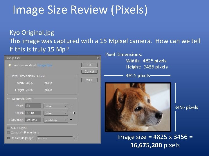 Image Size Review (Pixels) Kyo Original. jpg This image was captured with a 15