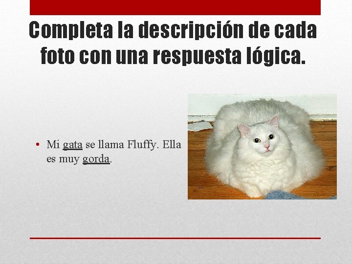Completa la descripción de cada foto con una respuesta lógica. • Mi gata se
