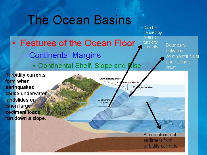 The Ocean Basins • Features of the Ocean Floor – Continental Margins • Continental