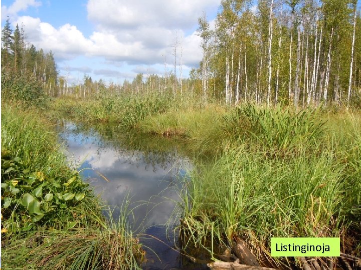 KIITOS! Listinginoja 