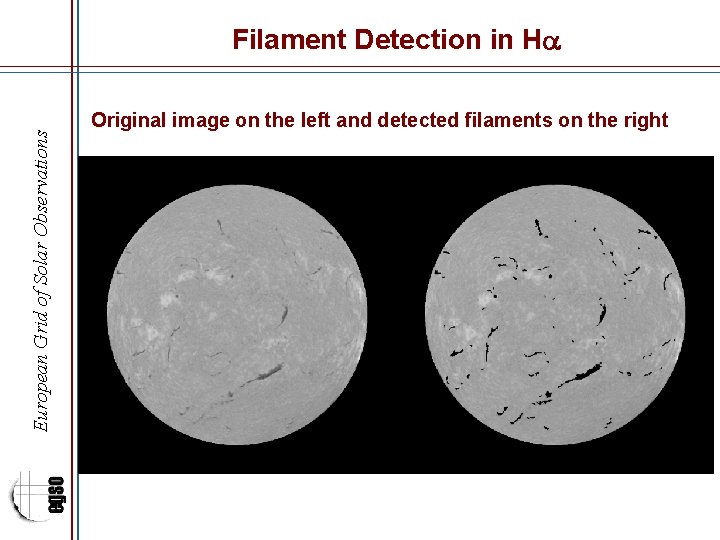 European Grid of Solar Observations Filament Detection in H Original image on the left