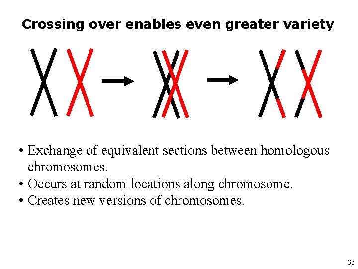 Crossing over enables even greater variety • Exchange of equivalent sections between homologous chromosomes.