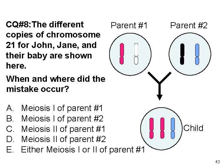 CQ#8: The different copies of chromosome 21 for John, Jane, and their baby are