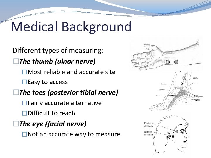 Medical Background Different types of measuring: �The thumb (ulnar nerve) �Most reliable and accurate