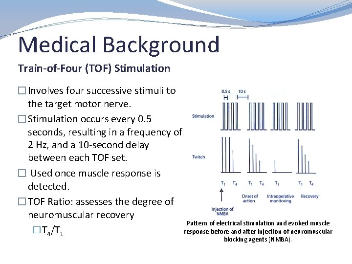 Medical Background Train-of-Four (TOF) Stimulation �Involves four successive stimuli to the target motor nerve.