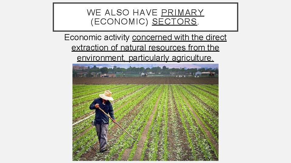 WE ALSO HAVE PRIMARY (ECONOMIC) SECTORS. Economic activity concerned with the direct extraction of