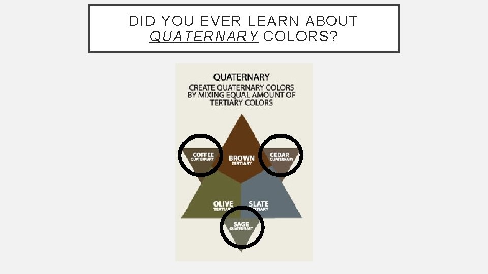 DID YOU EVER LEARN ABOUT QUATERNARY COLORS? 