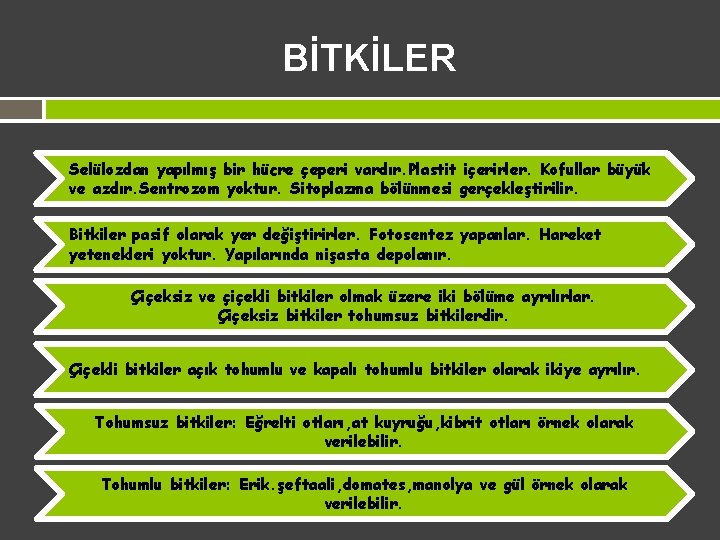 BİTKİLER Selülozdan yapılmış bir hücre çeperi vardır. Plastit içerirler. Kofullar büyük ve azdır. Sentrozom