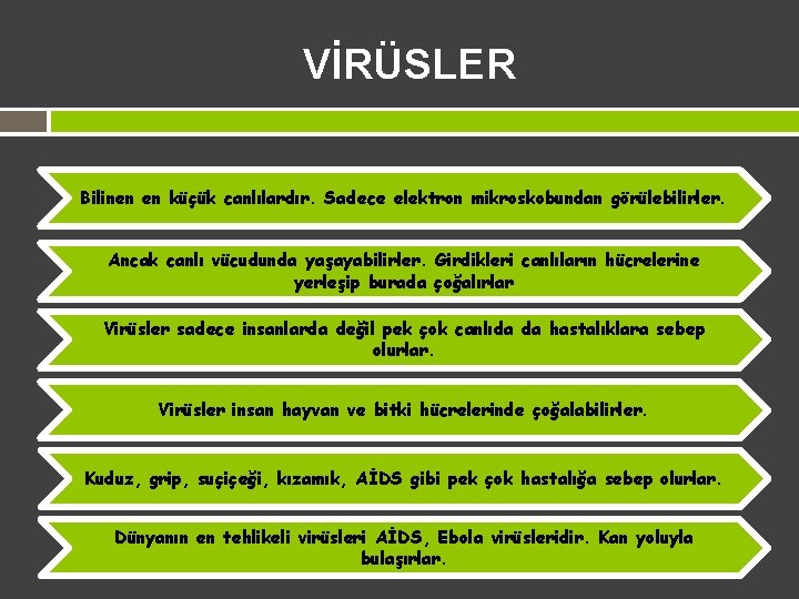 VİRÜSLER Bilinen en küçük canlılardır. Sadece elektron mikroskobundan görülebilirler. Ancak canlı vücudunda yaşayabilirler. Girdikleri