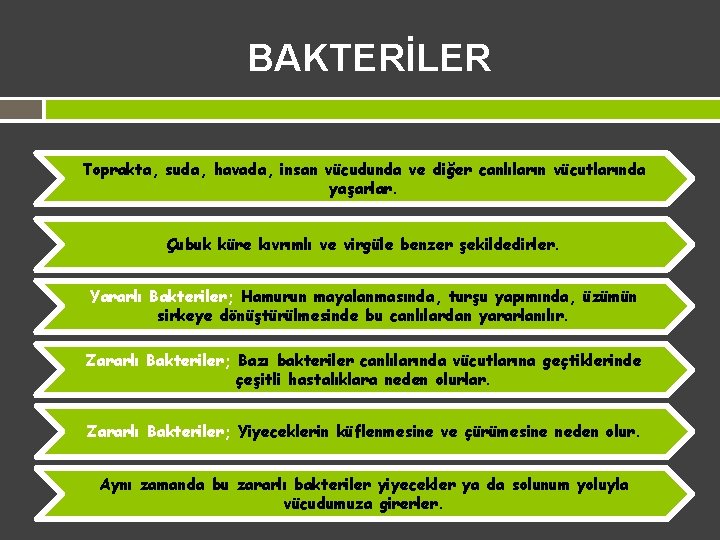 BAKTERİLER Toprakta, suda, havada, insan vücudunda ve diğer canlıların vücutlarında yaşarlar. Çubuk küre kıvrımlı