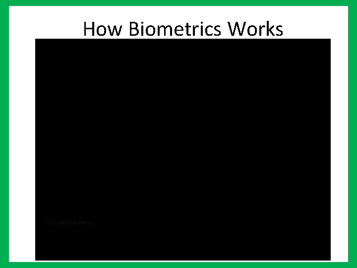 How Biometrics Works 