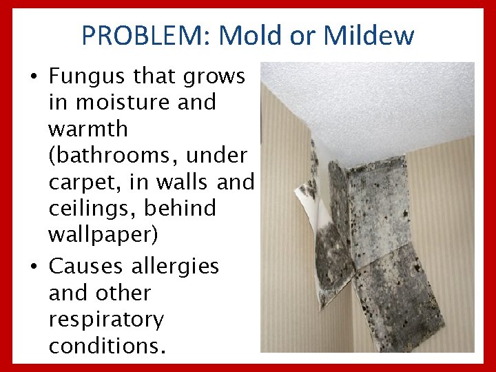 PROBLEM: Mold or Mildew • Fungus that grows in moisture and warmth (bathrooms, under