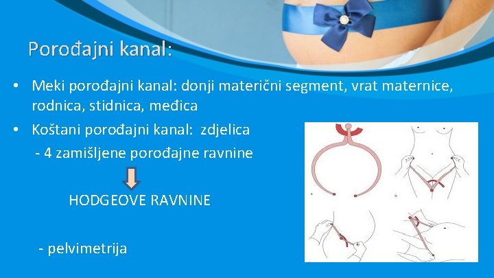 Porođajni kanal: • Meki porođajni kanal: donji materični segment, vrat maternice, rodnica, stidnica, međica Porođajni kanal: • Meki porođajni kanal: donji materični segment, vrat maternice, rodnica, stidnica, međica