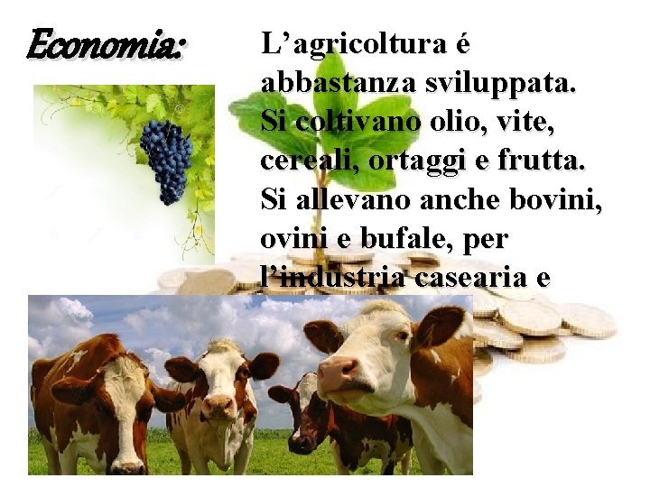 Economia: L’agricoltura é abbastanza sviluppata. Si coltivano olio, vite, cereali, ortaggi e frutta. Si