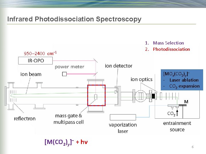 Infrared Photodissociation Spectroscopy 950– 2400 cm− 1 1. Mass Selection 2. Photodissociation [MOx(CO 2)y]−