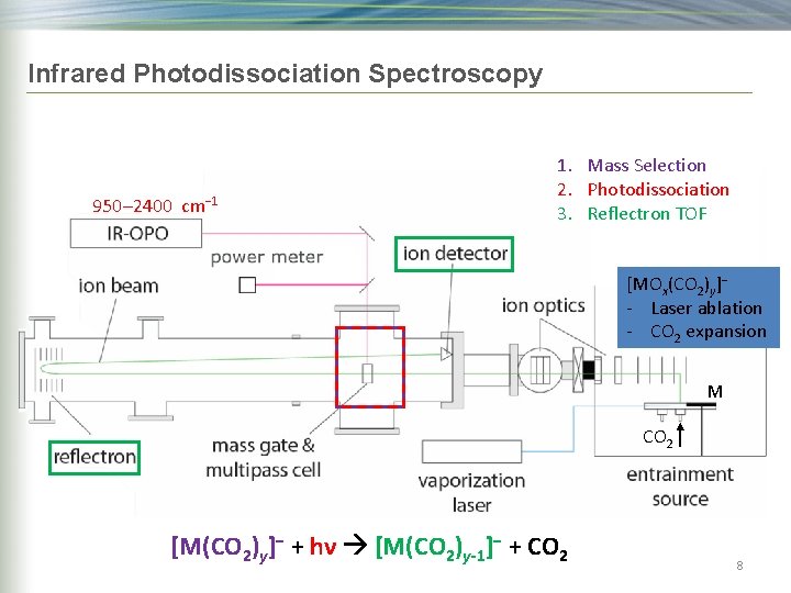 Infrared Photodissociation Spectroscopy 950– 2400 cm− 1 1. Mass Selection 2. Photodissociation 3. Reflectron