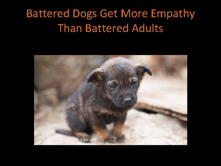 Battered Dogs Get More Empathy Than Battered Adults 