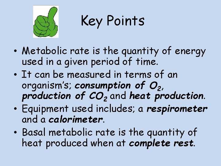 Key Points • Metabolic rate is the quantity of energy used in a given