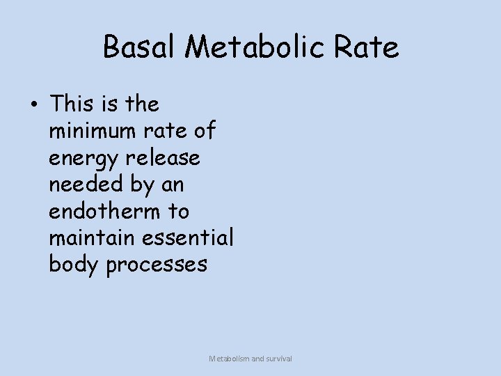 Basal Metabolic Rate • This is the minimum rate of energy release needed by