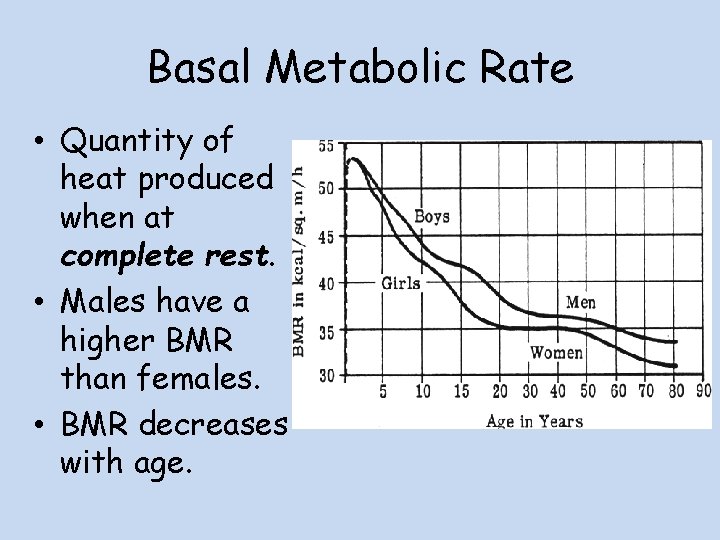 Basal Metabolic Rate • Quantity of heat produced when at complete rest. • Males