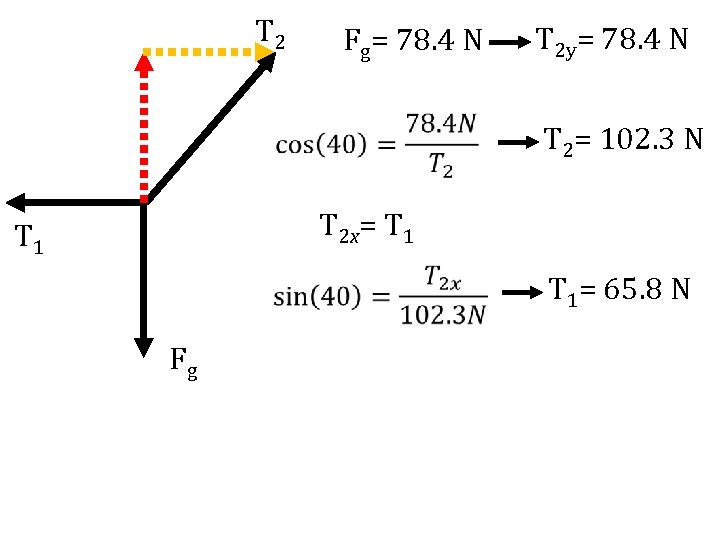 T 2 Fg= 78. 4 N T 2 y= 78. 4 N T 2=