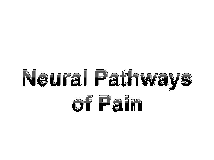 Neural Pathways of Pain 