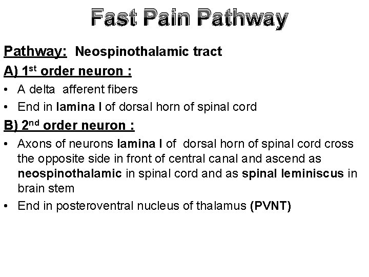 Fast Pain Pathway: Neospinothalamic tract A) 1 st order neuron : • A delta