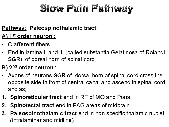 Slow Pain Pathway: Paleospinothalamic tract A) 1 st order neuron : • C afferent