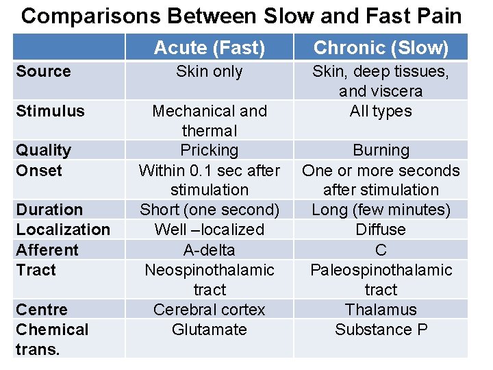 Comparisons Between Slow and Fast Pain Source Stimulus Quality Onset Duration Localization Afferent Tract