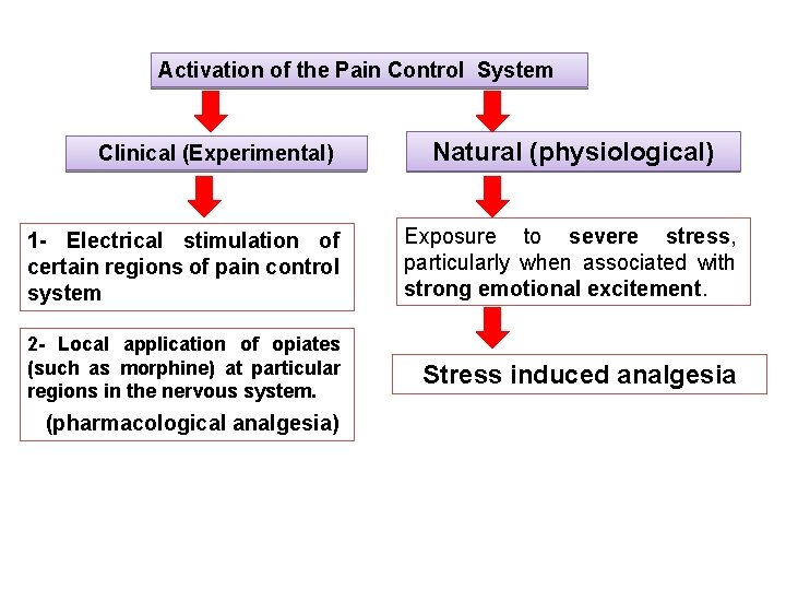 Activation of the Pain Control System Clinical (Experimental) Natural (physiological) 1 - Electrical stimulation