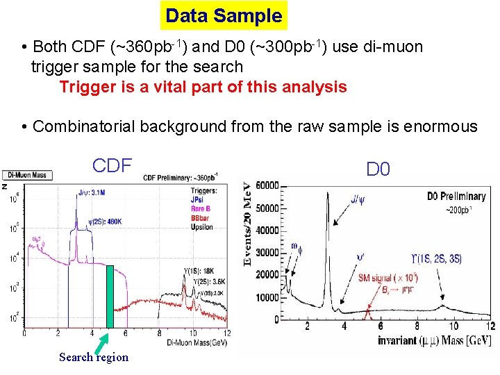 Data Sample • Both CDF (~360 pb-1) and D 0 (~300 pb-1) use di-muon