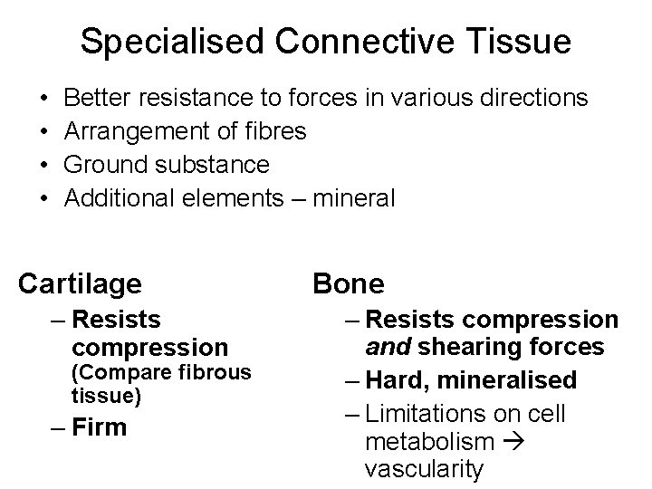 Specialised Connective Tissue • • Better resistance to forces in various directions Arrangement of