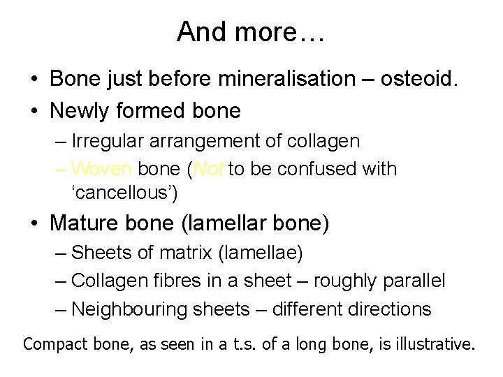 And more… • Bone just before mineralisation – osteoid. • Newly formed bone –