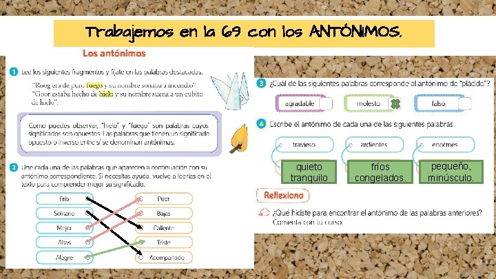 Trabajemos en la 69 con los ANTÓNIMOS. quieto tranquilo fríos congelados. pequeño, minúsculo. 